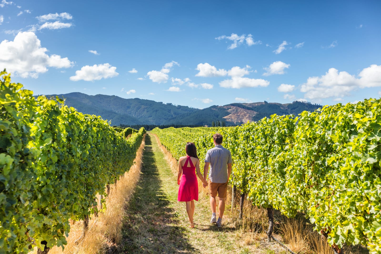 wine tour packages napa valley